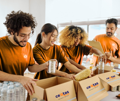 equipe cestas brasil